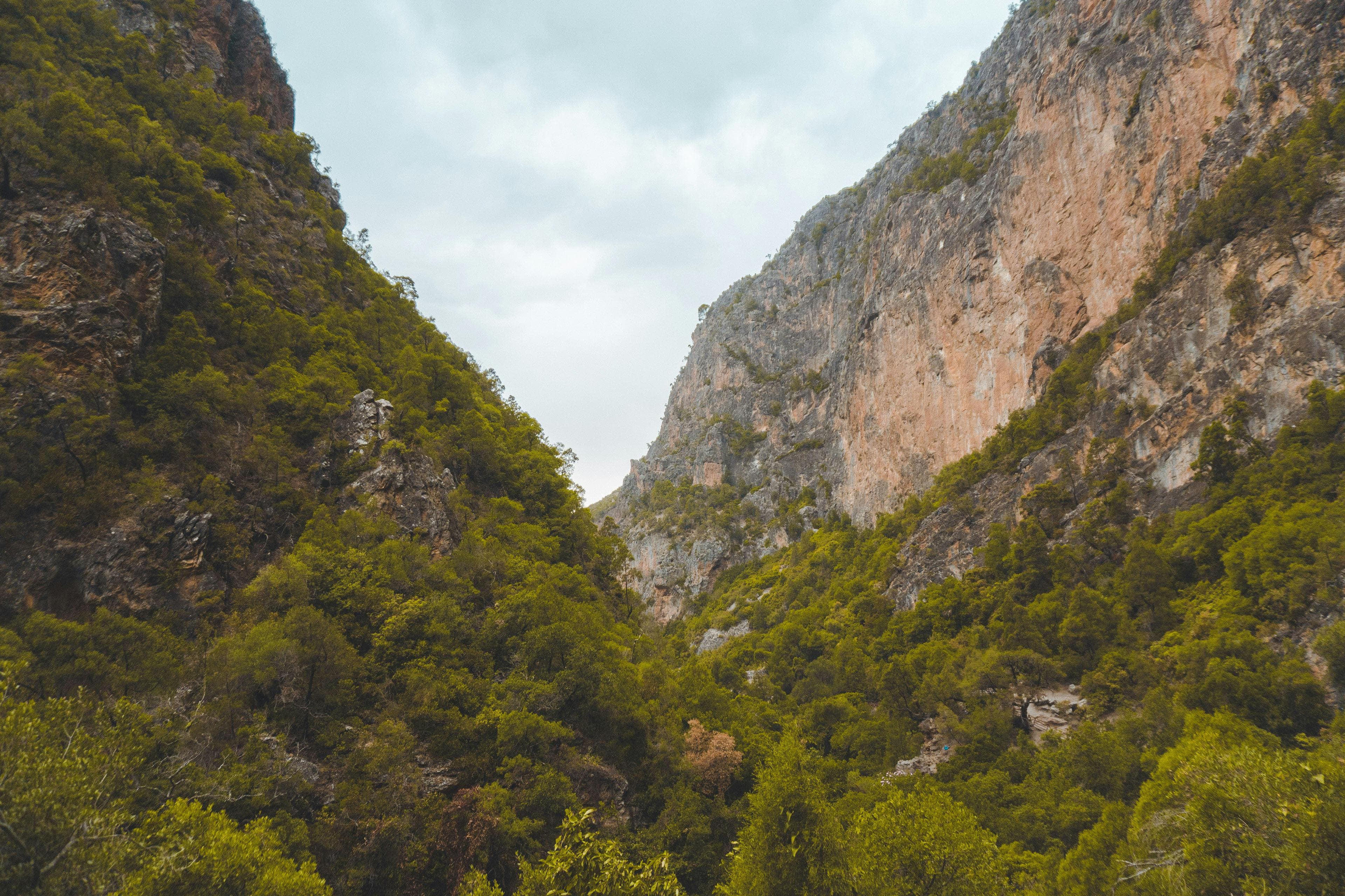 🌿 Akchour: Morocco’s Hidden Waterfall Paradise Near Chefchaouen